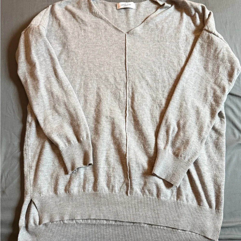 Carly Jean Los Angeles Light Gray V-Neck Sweater - Picture 1 of 2